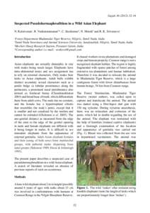 Suspected Pseudohermaphroditism in a Wild Asian Elephant