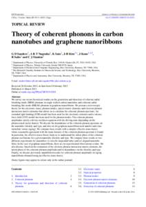 Emerging technologies / Nanomaterials / Quasiparticles / Bosons / Carbon nanotube / Graphene / Phonon / Raman spectroscopy / Van Hove singularity / Physics / Condensed matter physics / Chemistry