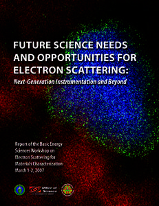 Future Science Needs and Opportunities for Electron Scattering: Next-Generation Instrumentation and Beyond