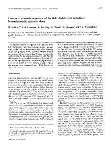 Veterinary medicine / Animal virology / Virology / Viral diseases / Rhabdoviridae / Paramyxovirus / Infectious hematopoietic necrosis virus / Lyssavirus / Sense / Biology / Mononegavirales / Microbiology