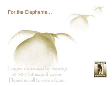For the Elephants…  Images optimized for viewing @ 50-75% magnification Please scroll to view slides…