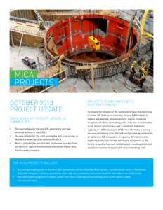 MICA PROJECTS OCTOBER 2013 PROJECT UPDATE Since our last project update in summer 2012: