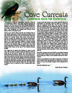 SPRING COVE CURRENTS/DEVECE