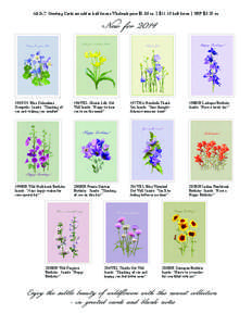 All 5x7” Greeting Cards are sold in half dozens Wholesale price $1.85 ea. | $11.10 half dozen | SRP $3.70 ea.  New for 2014 arbor vitae cards