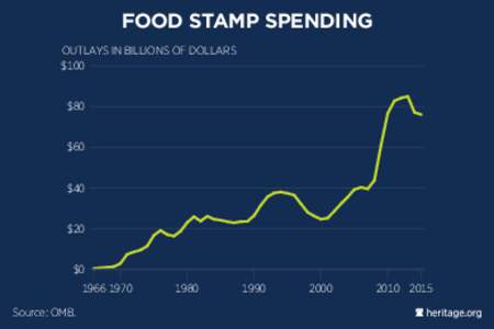 FOOD STAMP SPENDING OUTLAYS IN BILLIONS OF DOLLARS $100 $80 $60 $40