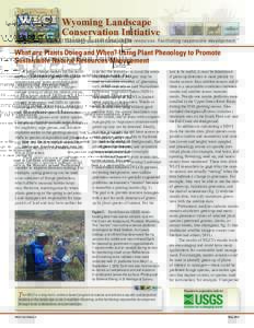 Wyoming Landscape Conservation Initiative “Conserving world-class wildlife resources. Facilitating responsible development.”  What are Plants Doing and When? Using Plant Phenology to Promote