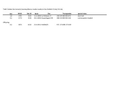 Theft: Golden lion tamarin (Leontopithecus rosalia rosalia) at Zoo Krefeld 23 July/ 24 July Sex 1,0 0,1  KR-ID