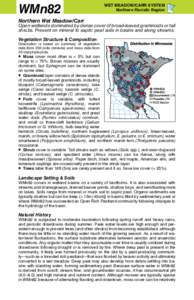 Landforms / Poor fen / Flora / Larix laricina / Willow / Shrub swamp / British NVC community W3 / Flora of Arkansas / Wetlands / Physical geography / Flora of the United States