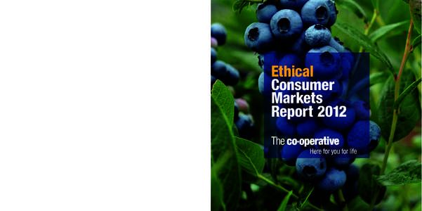 Ethical Consumer Markets Report