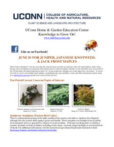 UConn Home & Garden Education Center Knowledge to Grow On! www.ladybug.uconn.edu Like us on Facebook!