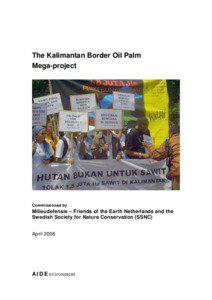 The Kalimantan Border Oil Palm Mega-project