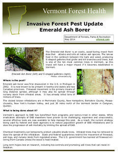 Vermont Forest Health Invasive Forest Pest Update Emerald Ash Borer Department of Forests, Parks & Recreation May 2014 vtforest.com