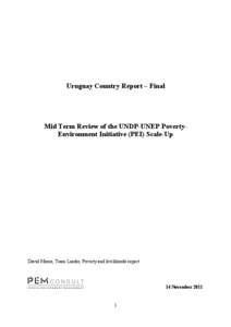Uruguay Country Report – Final  Mid Term Review of the UNDP-UNEP PovertyEnvironment Initiative (PEI) Scale-Up David Moore, Team Leader, Poverty and livelihoods expert