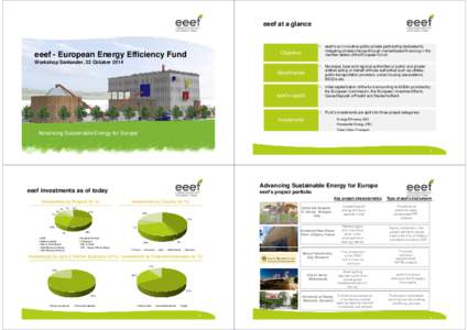 eeef at a glance   eeef is an innovative public-private partnership dedicated to mitigating climate change through market based financing in the