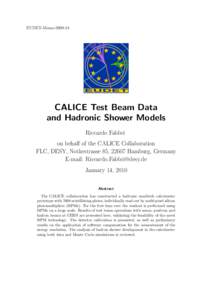 EUDET-MemoEUDET CALICE Test Beam Data and Hadronic Shower Models