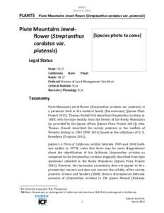 Streptanthus / Piute / Cupressus nevadensis / Flora of the United States / Flora / Flora of North America