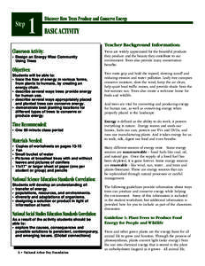 Forestry / Bioenergy / Trees / Energy policy / Energy economics / Windbreak / Biomass / Tree planting / Solar energy / Environment / Sustainability / Technology