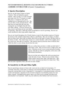 NET ENVIRONMENTAL BENEFITS ANALYSIS SPECIES FACT SHEET:  AMERICAN BEAVER (Castor Canadensis) I. Species Description Beavers are the largest rodents in North America. They are primarily aquatic
