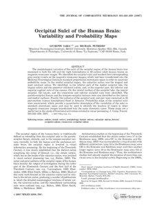 Neuroscience / Sulcus / Calcarine fissure / Occipital lobe / Parieto-occipital sulcus / Transverse occipital sulcus / Lateral occipital sulcus / Gyrus / Lingual gyrus / Cerebrum / Cognitive science / Biology