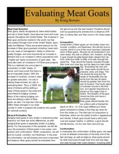 Evaluating Meat Goats By Kraig Bowers Meat Goat Selection Boer goats, easily recognized by there white bodies and red or black heads, have become more and more popular throughout the United States. The increase in