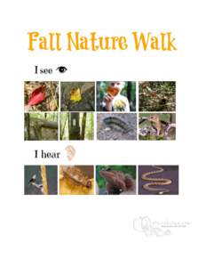Fall Nature Walk Language Lesson Fall is the perfect time of year to go on a family nature walk through the woods or at a local park. There is plenty of language learning that can occur during a walk. I have included pi