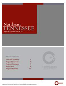 Northeast  TENNESSEE REGIONAL STRATEGIC PLAN  TABLE OF CONTENTS