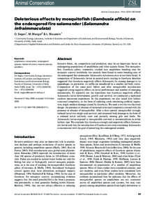 Animal Conservation. Print ISSN[removed]Deleterious effects by mosquitofish (Gambusia affinis) on the endangered fire salamander (Salamandra infraimmaculata) O. Segev1, M. Mangel2 & L. Blaustein1