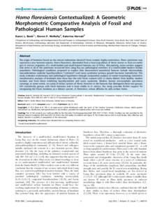 Homo floresiensis Contextualized: A Geometric Morphometric Comparative Analysis of Fossil and Pathological Human Samples Karen L. Baab1*, Kieran P. McNulty2, Katerina Harvati3 1 Department of Anthropology and Interdepart
