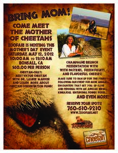 WW_Mothers_Day_2012_Cheetah_Flyer