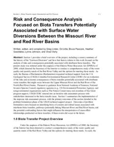 Risk and Consequence Analysis: Problem Formulation and Development of the Conceptual Model