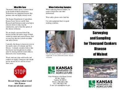 What We Face Thousand Cankers poses a serious threat to the health of black walnut trees. Walnut trees are important because they produce nuts and highly desired wood.