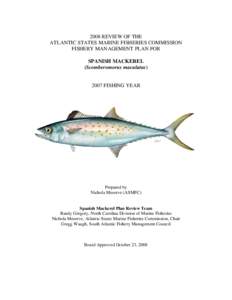 Fisheries science / Atlantic Spanish mackerel / Mackerel / Fisheries / Stock assessment / King mackerel / Bycatch / Fisheries management / Overfishing / Fish / Scombridae / Sport fish