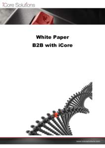 White Paper B2B with iCore www.icoresolutions.com  B2B with iCore