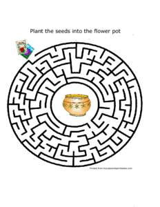 Plant the seeds into the flower pot  Printed from busybeekidsprintables.com 