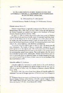 Littorella / Plantaginaceae / Pilularia / Biology / Michel Charles Durieu de Maisonneuve / Sporocarp / Botany / Marsileaceae / Flora of Chile