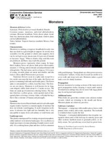 Monstera deliciosa / Biology / Flora / Epiphytes / Monstera / Philodendron / Breadfruit / Plant stem / Botany / House plants / Araceae