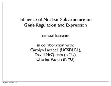 Influence of Nuclear Substructure on Gene Regulation and Expression Samuel Isaacson in collaboration with: Carolyn Larabell (UCSF/LBL), David McQueen (NYU),