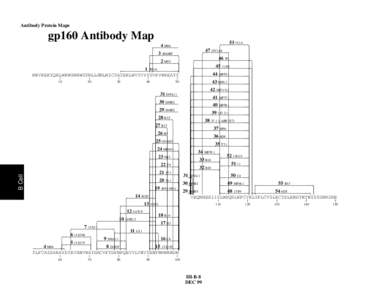 Antibody Protein Maps  gp160 Antibody Map ←−−4−M86 −−−−− 3