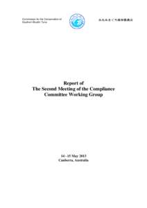 Microsoft Word - report_of_CCWG2.doc