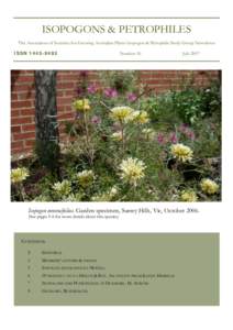 Flora of New South Wales / Plant sexuality / Isopogon / Proteaceae / Australian Native Plants Society / Petrophile / Seed / P. linearis / Flower / Eudicots / Proteales / Plant taxonomy