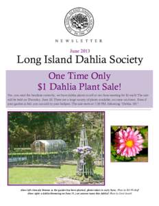 N E W S L E T T E R  June 2013 Long Island Dahlia Society One Time Only