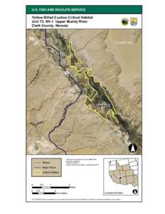 U.S. FISH AND WILDLIFE SERVICE  Yellow Billed Cuckoo Critical Habitat Unit 73: NV-1 Upper Muddy River Clark County, Nevada Mu