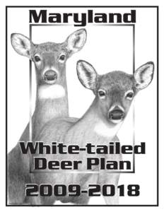 Maryland  White-tailed Deer Plan[removed]