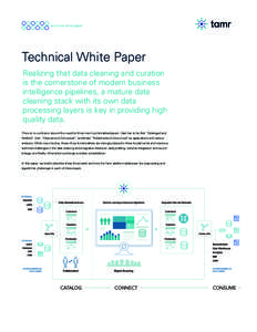 Record linkage / Database schema / Data cleansing / Entity-relationship model / Database / Data integration / Data management / Data / Information