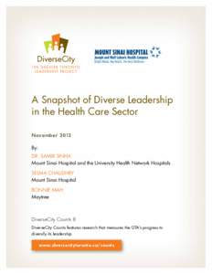 A Snapshot of Diverse Leadership in the Health Care Sector November 2013 By: Dr. Samir Sinha Mount Sinai Hospital and the University Health Network Hospitals