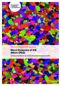 Micro-Dice_A5_8p.Feb.indd