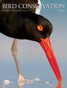 BIRD CONSERVATION  The Magazine of American Bird Conservancy Spring 2012