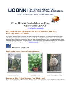 UConn Home & Garden Education Center Knowledge to Grow On! www.ladybug.uconn.edu DECEMBER IS FOR DECORATIONS, DIEFFENBACHIA, DECAY & DANCING WOOLLY APHIDS! Hello Fellow Gardeners! You are receiving this email because you