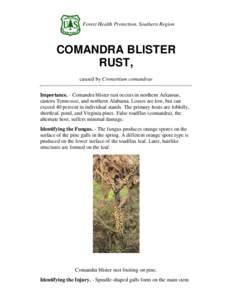 Forest Health Protection, Southern Region  COMANDRA BLISTER RUST, caused by Cronartium comandrae Importance. - Comandra blister rust occurs in northern Arkansas,