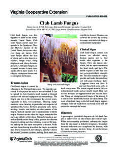 publication[removed]Club Lamb Fungus Nancy Currin, D.V.M., Veterinary Extension Publication Specialist, Virginia Tech Kevin Pelzer DVM, MPVM, ACVPH, Large Animal Clinical Sciences, Virginia Tech